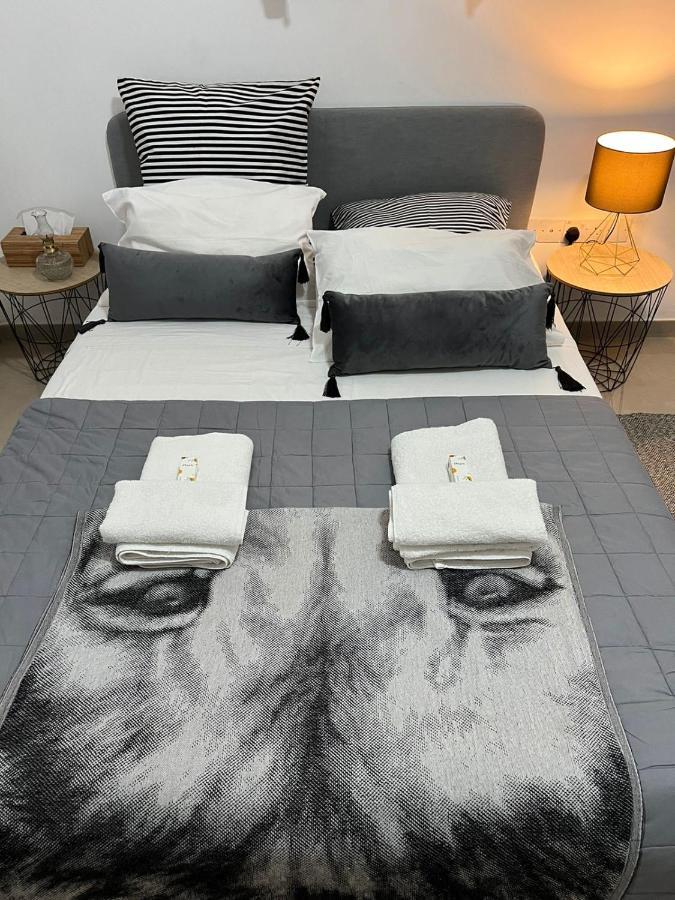 Hestia Studio Downtown Nicosia By Platform 357 المظهر الخارجي الصورة